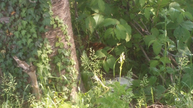 20150526_153814